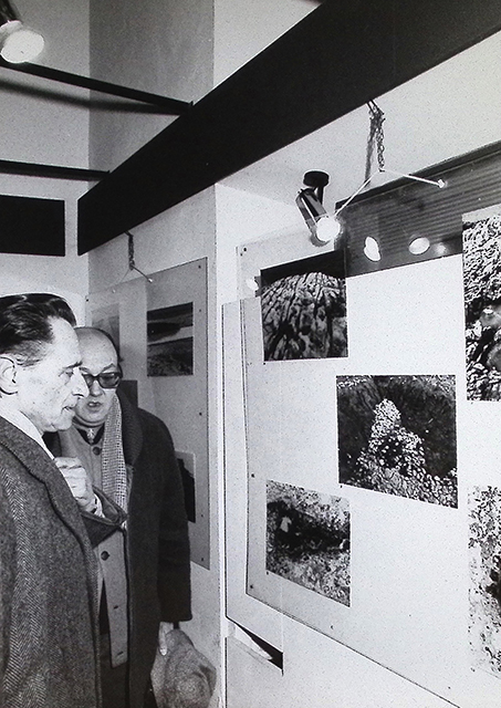 Inaugurazione della mostra